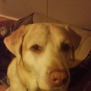 Meet your Posher, Matt